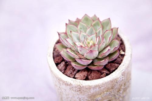 հ죺ˮϵȫͨ ˳ǡø˾