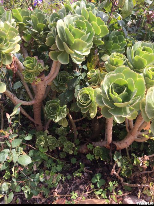 2021괺Ҫ ȫ